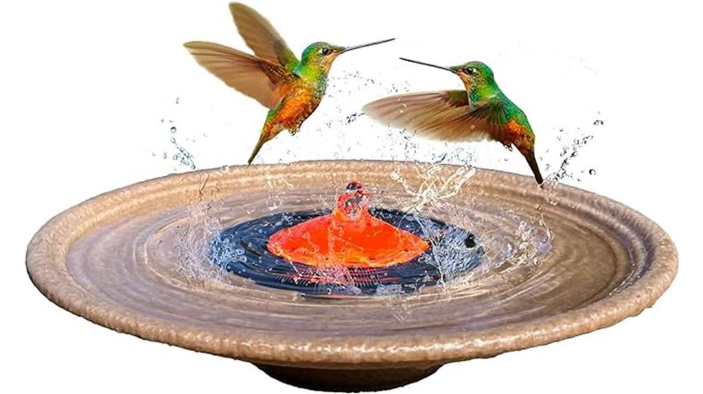 attract hummingbirds with ease