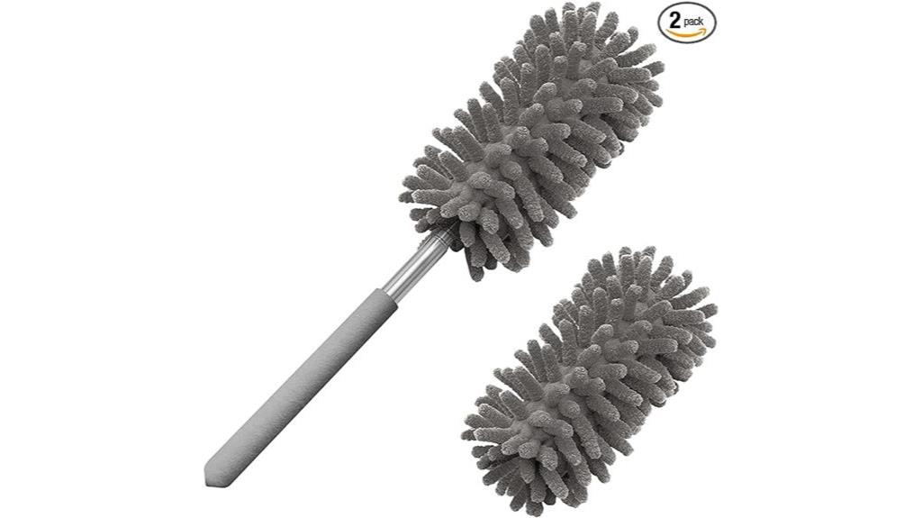 cleaning tool for dust