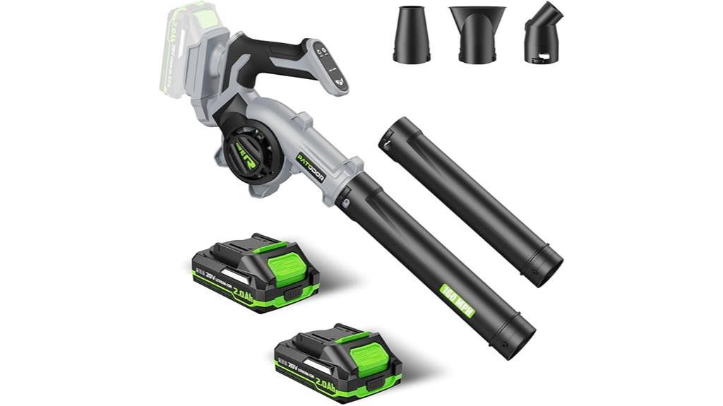 cordless leaf blower kit