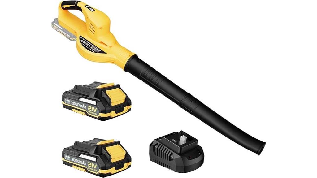 cordless leaf blower set