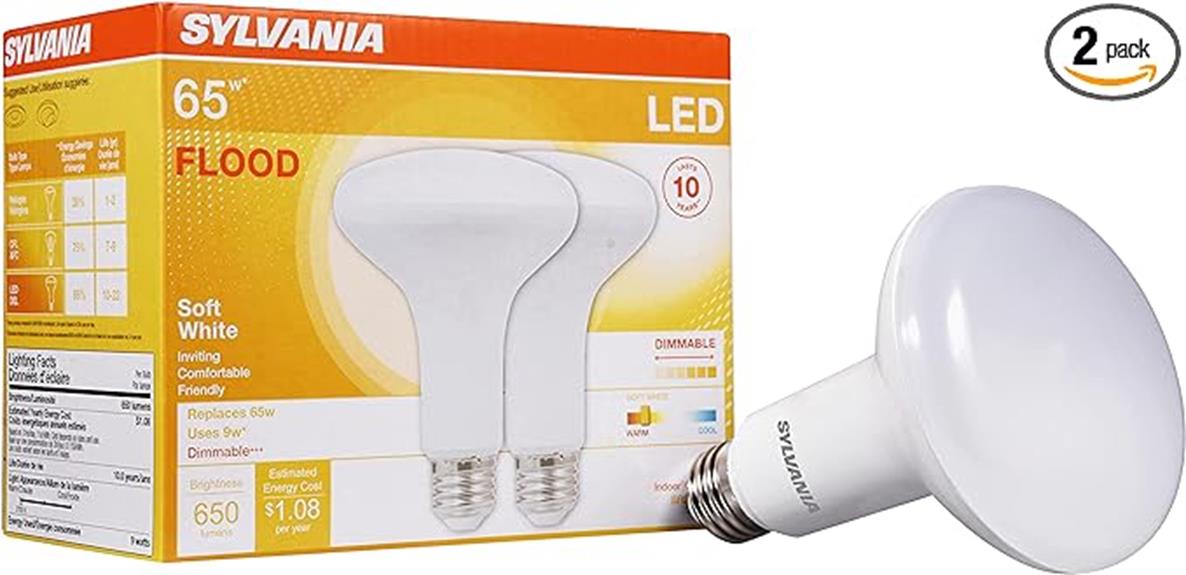 efficient led flood bulbs