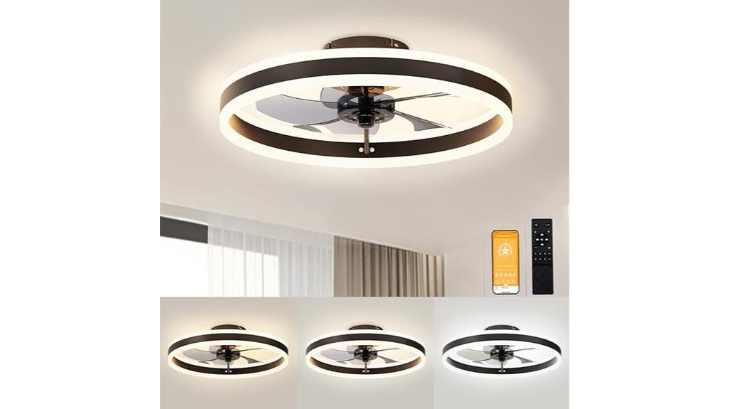 modern ceiling fan option