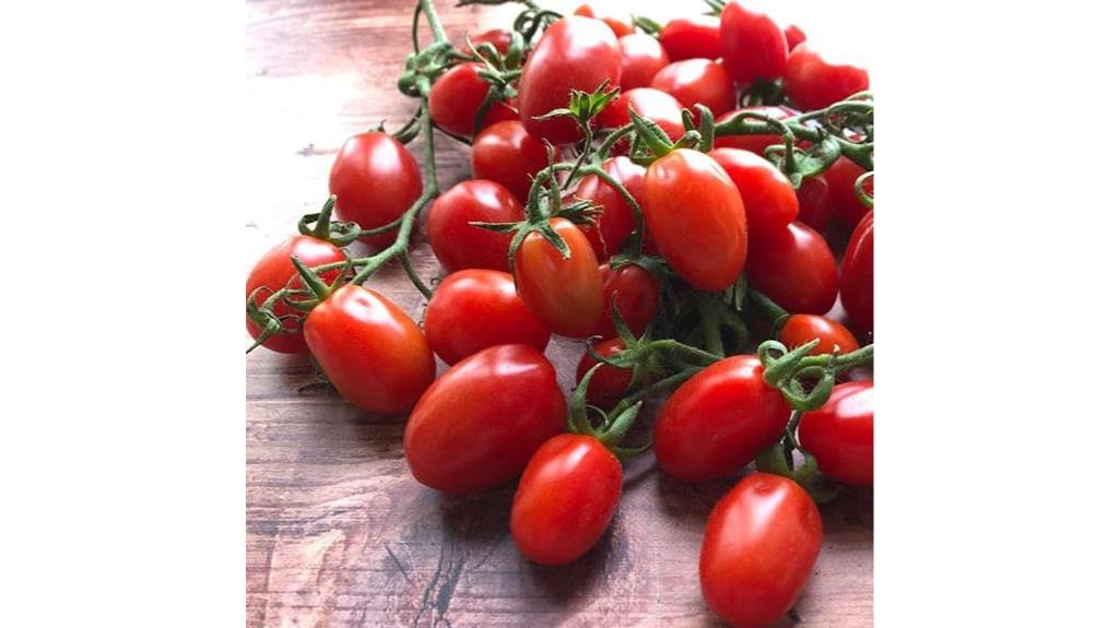 red roma tomato seeds