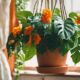 authentic summer room plants