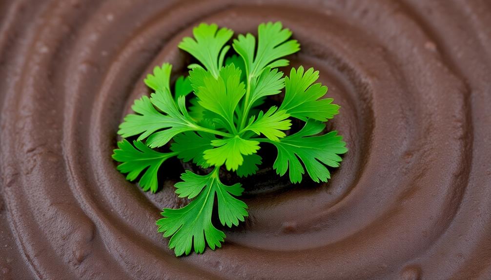 garnish with chopped cilantro