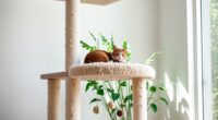 cat trees for comfort