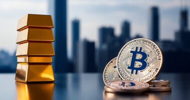 investments bitcoin or gold