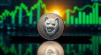 dogecoin rally potential forecast