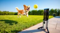 top automatic dog ball launchers