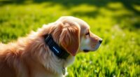 top gps dog collars