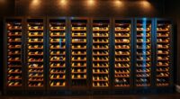 top luxury wine fridges