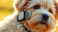 top pet gps tracking devices