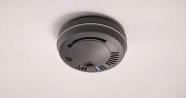 top voice alert smoke alarms