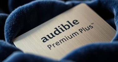 top audible premium gift