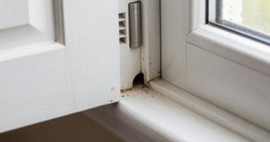 common pest entry points