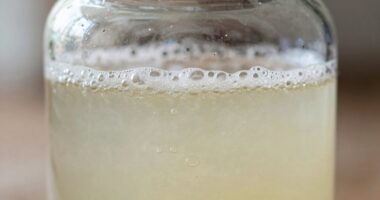 fermentation safety indicators