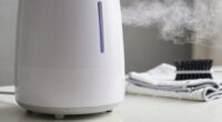 humidifier cleaning prevents white dust