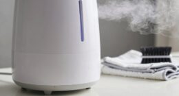 humidifier cleaning prevents white dust