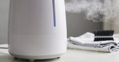 humidifier cleaning prevents white dust
