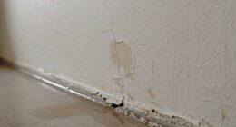 identify hidden water leaks