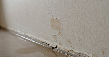 identify hidden water leaks