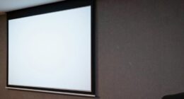 screen choice impacts projection