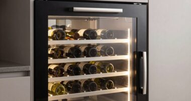 top built in wine fridges