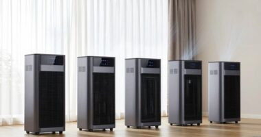 top dual hose portable acs