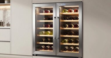 top dual zone wine fridges