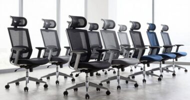top ergonomic chairs 2026