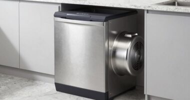 top garbage disposal 2026