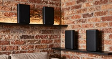 top mesh wifi for brick walls