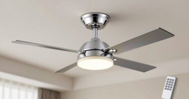 top remote controlled ceiling fans