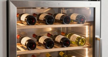top wine fridge picks