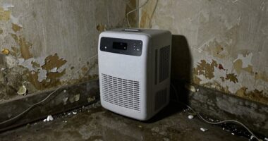 incorrect dehumidifier sizing choices