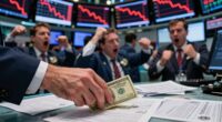 market crashes reveal vulnerabilities