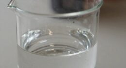 water s impact on coffee