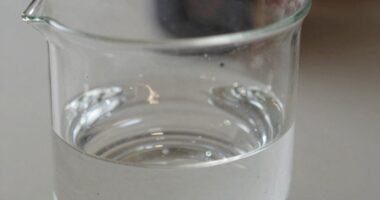 water s impact on coffee