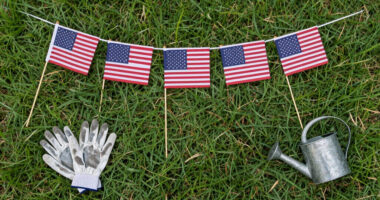 13 Best Patriotic American Flag Lawn Decorations in 2026