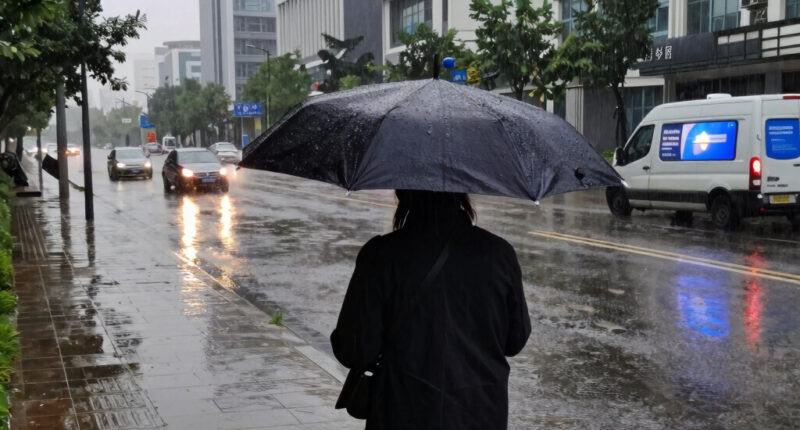Chicago weather: Flood Warning for area as storms cause damage power outages; woman dies in Kendall Co.; July 4 fireworks canceled