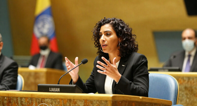 Speech By Commissioner Lahbib At The UN General Assembly On Protecting Civilians Better
