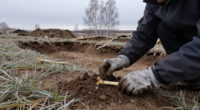 The Earliest Known Plague Outbreak Happened In What Is Now Russia 5,500 Years Ago. Scientists Found The Evidence In Ancient Teeth.