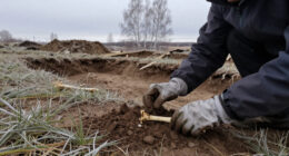 The Earliest Known Plague Outbreak Happened In What Is Now Russia 5,500 Years Ago. Scientists Found The Evidence In Ancient Teeth.